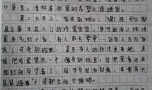 护蛋进行时-记一次护蛋行动作文1000字