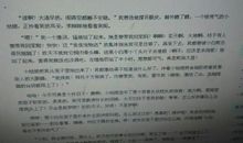 懒惰的小猫-可爱的小动物作文300字