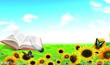 畅游澳新，感受文化 难忘的国外访学作文1500字