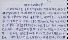 圣诞节-关于节日的作文300字