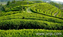 环境监测单位保障数据有效性探讨论文