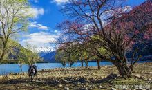 优秀作文赏析：《走进我心中的桃花源》