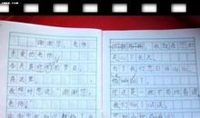 我的老师 独特的老师800字作文