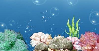 三年级作文:夏天的世界