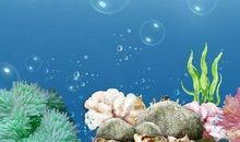 三年级作文：夏天的世界