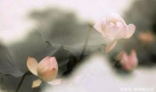 如何写“咏物诗”？内核其实和小学生写作文差不多，差别在于手法