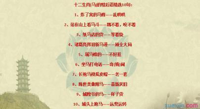 关于十二生肖的谚语
