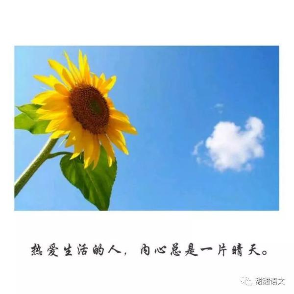 新学期第一单元作文指导（语文最贴心辅导）