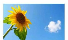 新学期第一单元作文指导（语文最贴心辅导）