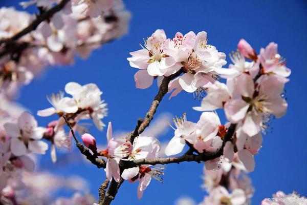 申论作文素材：2020年5月13日《人民日报》好句子，推荐收藏！