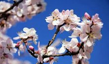 申论作文素材：2020年5月13日《人民日报》好句子，推荐收藏！