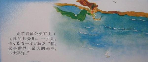 蒲公英旅行记