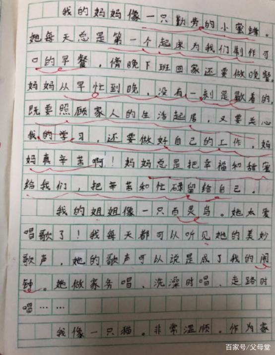 小学生作文“小小动物园”语句优美,却映射了成年家庭的悲哀 1