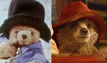 《帕丁顿熊》读后感