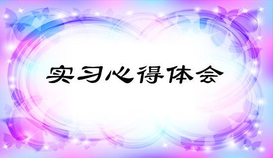 调研实践的心得体会
