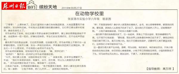 “写活了”动物作文，他们是怎么做到的？ 1