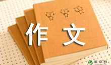 以寻觅为话题的作文