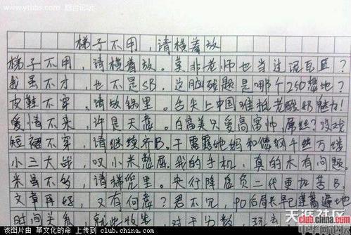 我开心极了作文