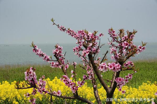 高考作文辅导71:好标语,就该凝聚精气神 2