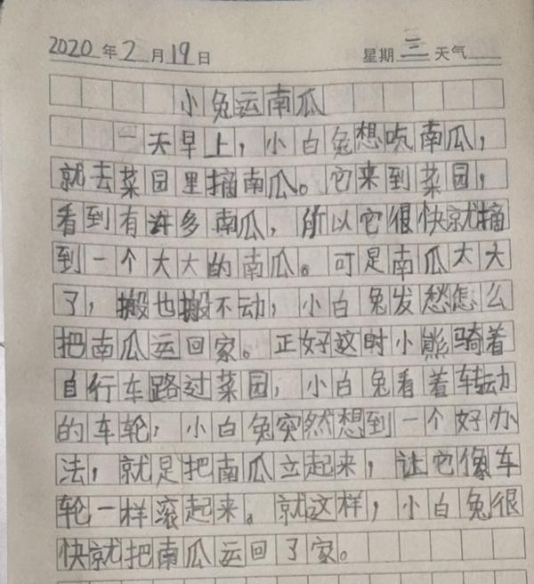 作家教作文：看图作文《小兔运南瓜》怎么写？ 1