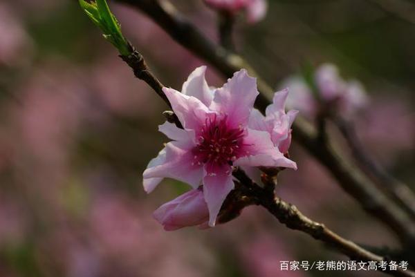高考作文辅导71:好标语,就该凝聚精气神 1