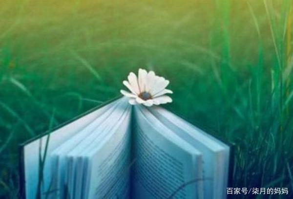 小学生作文写作方法与技巧，孩子掌握了，高分作文一气呵成！ 4