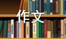 小小学三年级作文500字