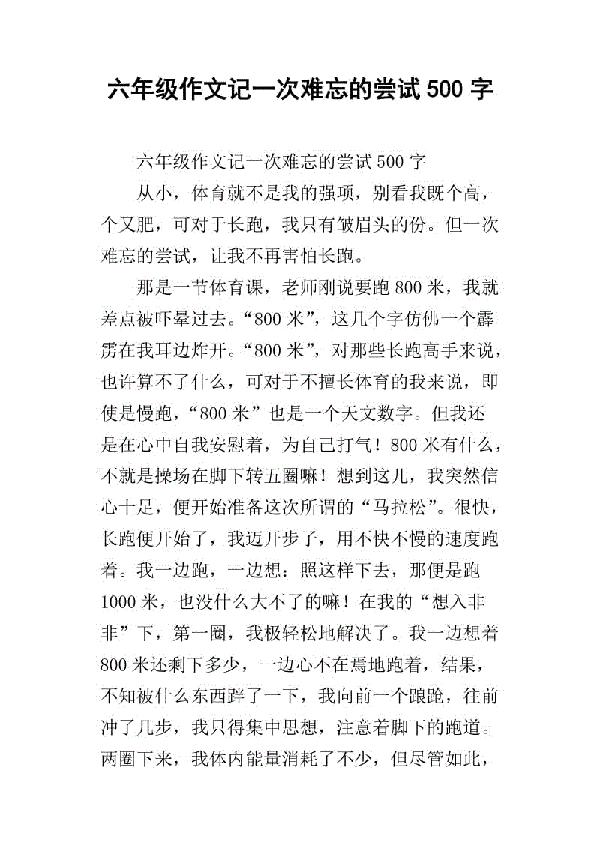 那是一次难忘的尝试_500字