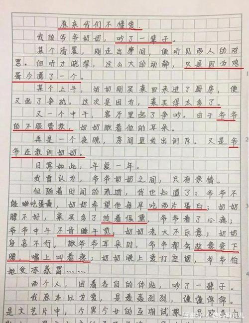 什么是爱?14岁女孩的作文火了,网友:活了几十年还没她看得透彻 2