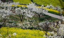 高考作文辅导71：好标语，就该凝聚精气神