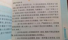 小学生应用文日记