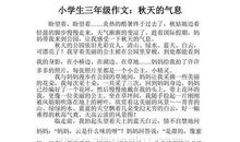 秋天的早晨小学生记叙文