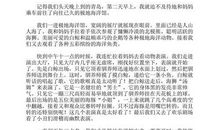 难忘的旅行小学记叙文