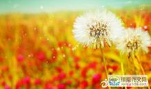 小学生六年级期末评语