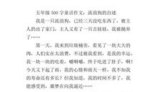 流浪的日子-一节电池的自述作文600字