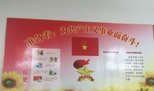 少先队的暑假活动计划