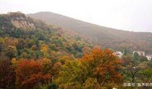 四年级作文：枫树湾半日游