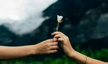 五年级作文：假如我跟谁换一换