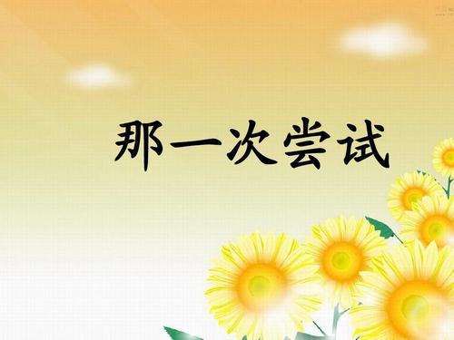 那是一次成功的尝试_550字