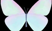 嘉英好作文 蛋壳奇遇记