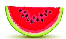 西瓜小学生说明文