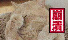 作文4大要点梳理！轻松搞定科目一最难拿50分！