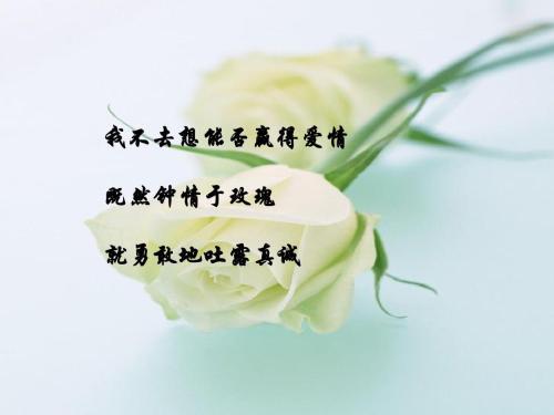种花让生活更美好作文350字