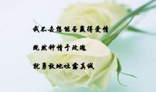 种花让生活更美好作文350字