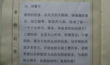 小学生的期末评语大全