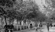 六年级作文：老照片