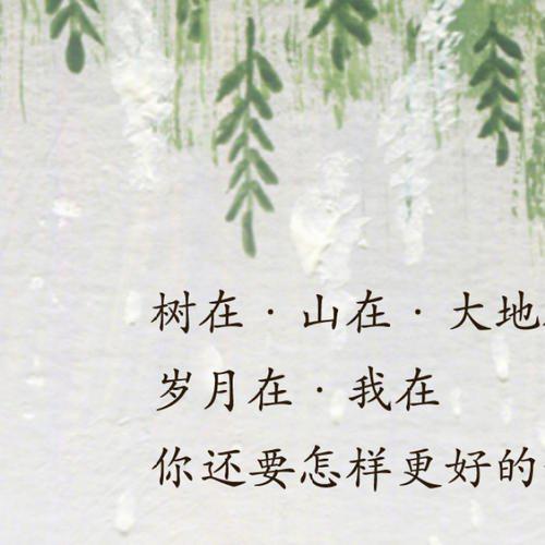 人生，阙也 读张晓风《月，阙也》有感600字