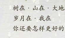 人生，阙也 读张晓风《月，阙也》有感600字