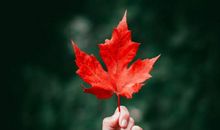 2019年9月《诗刊》读后感丨叶端