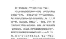 难忘的小学生活记叙文550字